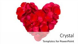  Presentation with red and white rose petals - Amazing presentation design having close up of red rose backdrop and a  colored foreground
