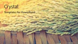  Presentation with rice grain - Slide deck having close-up of rice grain background and a yellow colored foreground