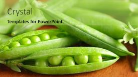  Presentation with beans - Amazing theme having close-up-of-ripe-beans backdrop and a yellow colored foreground