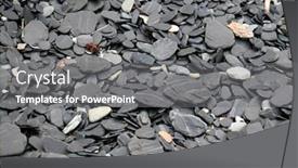  Presentation with newfoundland - Audience pleasing presentation theme consisting of close up of rocks on a beach in newfoundland backdrop and a gray colored foreground