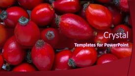  Presentation with rose hips - Colorful slide set enhanced with close-up-of-rose-hips backdrop and a crimson colored foreground