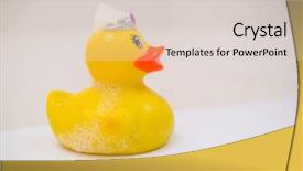  Presentation with rubber duck - Audience pleasing presentation theme consisting of close-up of rubber duck backdrop and a  colored foreground