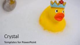  Presentation with rubber duck - PPT theme with close-up of rubber duck background and a  colored foreground
