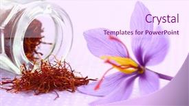  Presentation with food saffron - PPT theme enhanced with close up of saffron flower background and a pink colored foreground