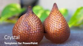  Presentation with volcanic rock - Audience pleasing theme consisting of close up of salak fruit on black volcanic rock with green leaves in background backdrop and a tawny brown colored foreground