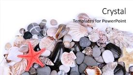  Presentation with sea shells - Colorful PPT theme enhanced with close up of sea stones backdrop and a white colored foreground