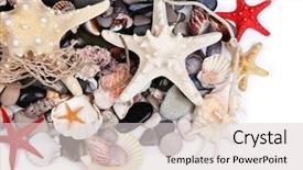  Presentation with sea shells - Audience pleasing presentation theme consisting of close up of sea stones and shells backdrop and a lemonade colored foreground