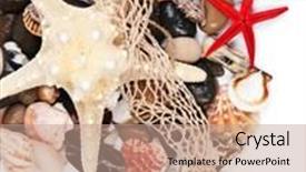  Presentation with sea shells - Beautiful slide deck featuring close up of sea stones and shells backdrop and a coral colored foreground