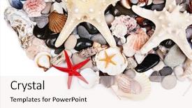  Presentation with sea shells - PPT theme with close-up-of-sea-stones background and a sky blue colored foreground