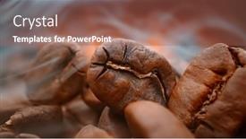  Presentation with fragrant - Audience pleasing PPT layouts consisting of close-up-of-seeds backdrop and a violet colored foreground