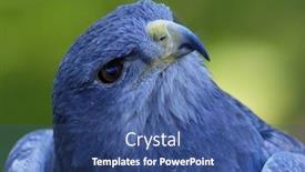  Presentation with shield - Audience pleasing slide deck consisting of close-up-of-shield-eagle backdrop and a ocean colored foreground