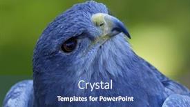  Presentation with shield - Cool new PPT theme with close-up-of-shield-eagle backdrop and a ocean colored foreground