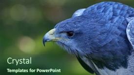  Presentation with shield - Colorful presentation theme enhanced with close-up-of-shield-eagle backdrop and a tawny brown colored foreground