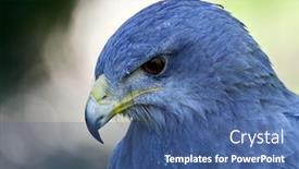  Presentation with shield - PPT theme enhanced with close-up-of-shield-eagle background and a ocean colored foreground