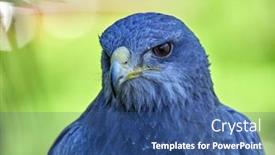  Presentation with shield - Amazing slide deck having close-up-of-shield-eagle backdrop and a ocean colored foreground