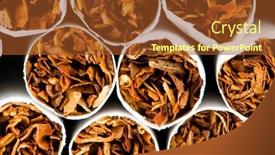  Presentation with cigarettes - Presentation featuring side view portrait of a young female researcher using computer in the laboratory background and a light gray colored foreground