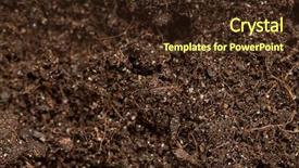  Presentation with soil - Amazing slide deck having close up of soil - can backdrop and a wine colored foreground