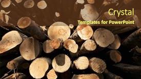  Presentation with tree rings - Slides enhanced with close up of stack of cut tree trunks with annual rings visible distorted wide angle view background and a tawny brown colored foreground