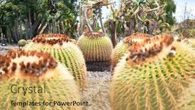  Presentation with green botanical - PPT layouts featuring close-up-of-succulent-green background and a yellow colored foreground