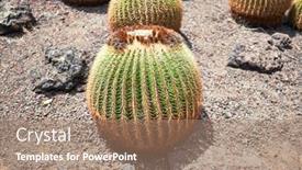  Presentation with green botanical - Slide set featuring close-up-of-succulent-green background and a coral colored foreground