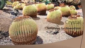  Presentation with green botanical - PPT theme with close-up-of-succulent-green background and a coral colored foreground