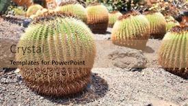  Presentation with green botanical - Cool new presentation design with close-up-of-succulent-green backdrop and a coral colored foreground
