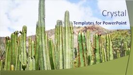  Presentation with green botanical - Presentation theme featuring close-up-of-succulent-green background and a sky blue colored foreground