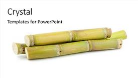  Presentation with sugar - PPT theme having close up of sugar cane background and a white colored foreground