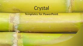  Presentation with sugar - Beautiful slides featuring close up of sugar cane backdrop and a yellow colored foreground