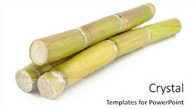  Presentation with sugar - Slides enhanced with close up of sugar cane background and a white colored foreground