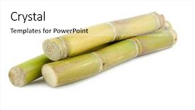  Presentation with sugar - Amazing theme having close up of sugar cane backdrop and a white colored foreground