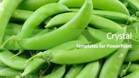  Presentation with peas - Cool new PPT theme with human relation skills - funny character being doubtful chalk backdrop and a wine colored foreground