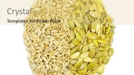 Presentation with pumpkin seeds - Cool new PPT layouts with close up of sunflower and pumpkin seeds backdrop and a yellow colored foreground