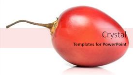  Presentation with close up of sundew drosera - Beautiful presentation design featuring close-up-of-tamarillo backdrop and a coral colored foreground