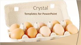  Presentation with brown - Amazing slides having close-up-of-ten-brown backdrop and a cream colored foreground