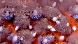  Presentation with skin - Slide set having close-up-of-the-armoured background and a violet colored foreground