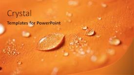  Presentation with fabric - Beautiful presentation theme featuring close-up-of-the-fabric backdrop and a gold colored foreground