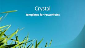  Presentation with crop - 