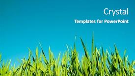  Presentation with crop - 