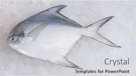  Presentation with silver - Beautiful theme featuring close-up-of-the-silver backdrop and a light gray colored foreground