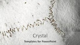  Presentation with skull - Theme with close-up-of-the-skull background and a light gray colored foreground