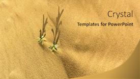 Presentation with sand dunes - PPT theme with close-up-of-tiny-plant background and a yellow colored foreground