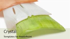  Presentation with indian flag - Theme enhanced with close-up of tricolor earrings background and a yellow colored foreground