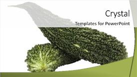  Presentation with bitter - Cool new presentation theme with close-up of two bitter melons backdrop and a white colored foreground