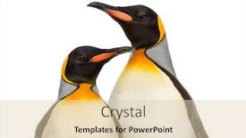  Presentation with king - Cool new theme with close-up-of-two-king backdrop and a lemonade colored foreground