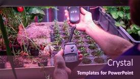  Presentation with inspector - Colorful presentation design enhanced with close-up-of-unrecognizable-greenhouse backdrop and a violet colored foreground