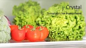  Presentation with refrigerator - Presentation design consisting of road side natural scene in san carlos costa rica with howler monkeys up in the trees background and a tawny brown colored foreground