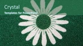  Presentation with daisy - Slide set featuring 1970s flower - close-up of vintage fabric background and a ocean colored foreground