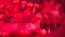  Presentation with medical virus - Slides enhanced with close-up-of-virus-medical background and a crimson colored foreground