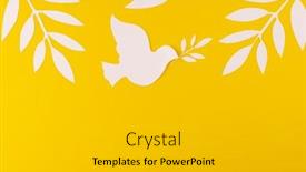  Presentation with white dove - Presentation theme enhanced with close-up-of-white-dove background and a light gray colored foreground